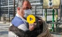 عجیب‌ترین گروگان‌گیری‌ جهان در یک کشور آفریقایی