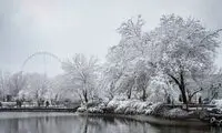 چند قاب خاص از ژست زمستانی ایران در این ساعات