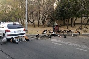 تصاویری از پارک گفتگو که داد مردم تهران را درآورد