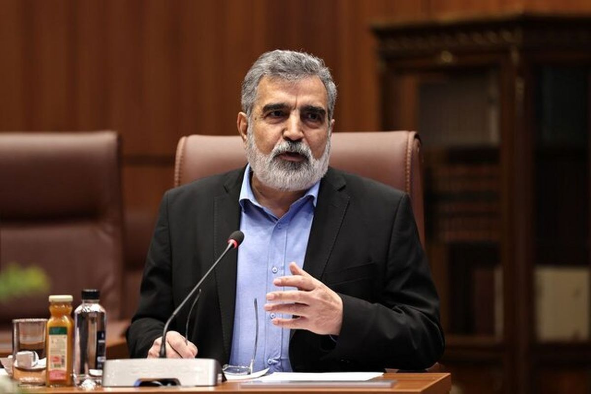   کمالوندی: در نطنز آسیب‌هایی وارد شده است 
