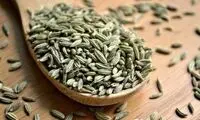 گیاهی پر از خاصیت که در زبان عربی به شمر معروف است