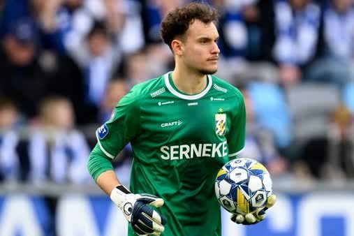 یک گُلر دورگه جانشین بیرانوند در تیم ملی می‌شود