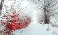در این منطقه از ایران هنوز می‌توانید برف بازی کنید!