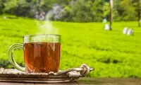 نوشیدن چای چه تاثیری روی جذب آهن می‌گذارد؟