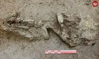 کودک 5 هزارساله از یک چاه باستانی بیرون آمد