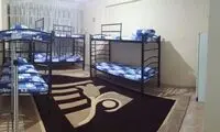  گزارش صداوسیما از حمله ریزپرنده‌ها به یک خوابگاه