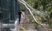 لحظه ورود طوفان وحشتناک به استان تهران