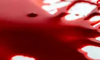 کارگر جوان صاحب کارش را کشت