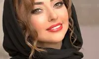 استوری کنایه‌آمیز نفیسه روشن در هواپیما