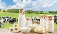 شیر چاق‌ می‌کند یا لاغر؟