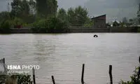 طی 5 ساعت اندازه یک سال در این شهر باران بارید