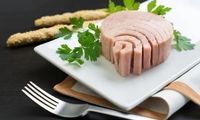 طرز تهیه تن ماهی سالم و خانگی