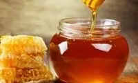 ویدئوی زیبا از رقص عسل در ایستگاه فضایی!