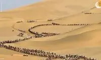 عجیب‌ترین مدل ترافیک، جاذبه گردشگری شد!