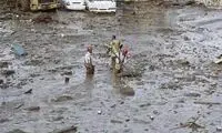 تصاویر وحشتناک از غرق‌شدن خودرو در سیل اخیر