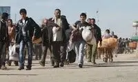 اتباع افغان، دیوار مرزی ایران را شرمنده کردند