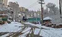 بارش برف بهاری، شمشک را سفیدپوش کرد