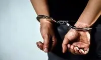 دستگیری ۸۷ عامل مرتبط با اسرائیل در این استان
