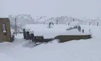 قاب باورنکردنی از منازلی که در برف بانه دفن شدند