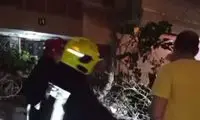 لحظه سقوط ترسناک درخت روی خودرو در مشهد