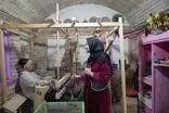 تصاویری از گشت و گذار همسر عراقچی در همدان