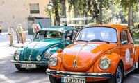 فولکس های رنگی دوباره در جاده چالوس