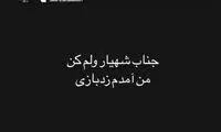 حرکت جنجالی مهراد هیدن، خواننده گروه زِدبازی