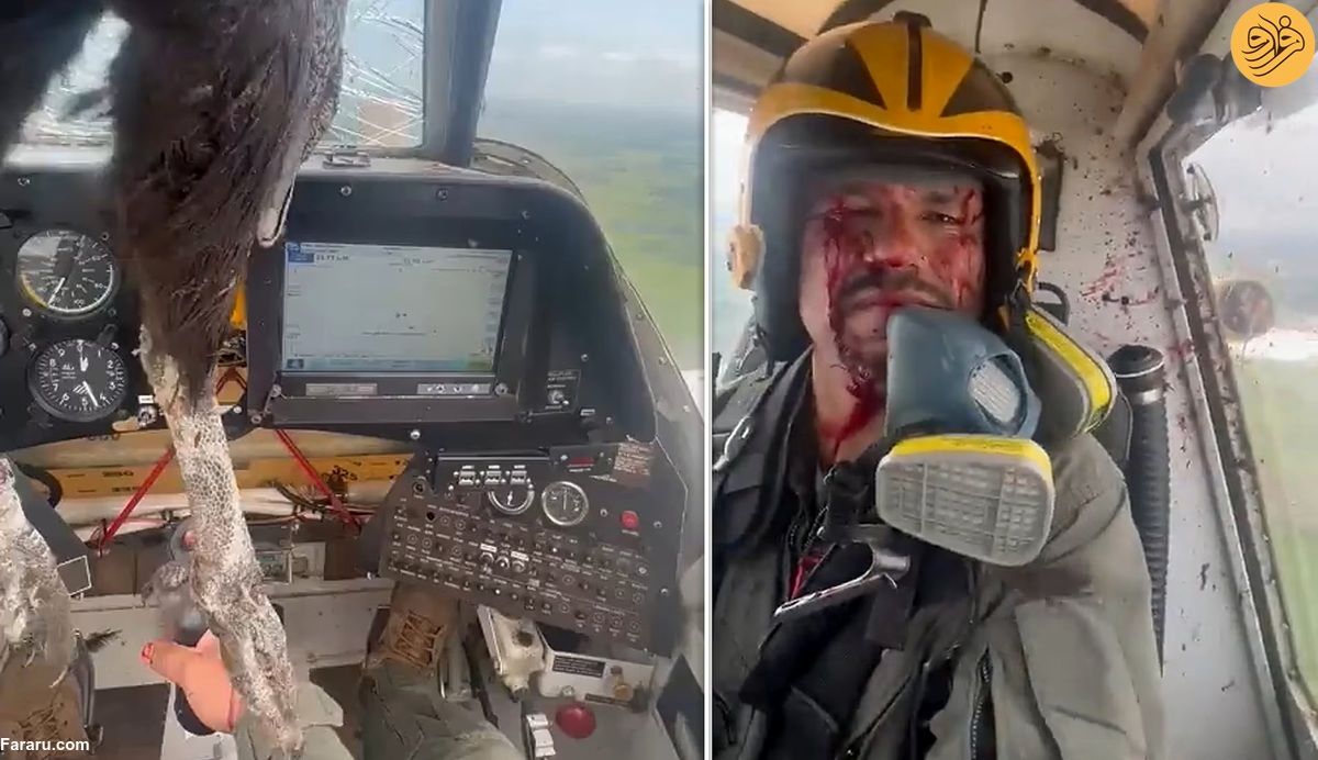 چهره خونی خلبان پس از برخورد با یک پرنده