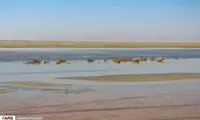 عکس تکان‌دهنده و غم‌انگیز از تالاب گاوخونی