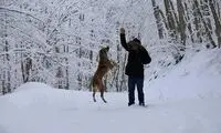 زیبایی چشم‌نواز از سوادکوهِ برفی