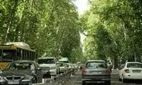 ویدئو بامزه‌ای که از خیابان ولیعصر تهران وایرال شد