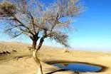 پیشنهاد عجیب و تازه وزارت نیرو درباره مصرف آب