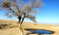 پیشنهاد عجیب و تازه وزارت نیرو درباره مصرف آب