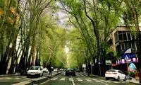 تصویری غم‌انگیز از ولیعصر تهران وایرال شد