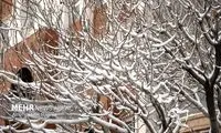 سرمای شدید در البرز رکورد زد