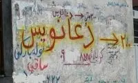 آلت تناسلی کفتار و گوشت خرس در ایران پرطرفدار شد