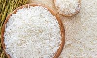 قیمت برنج ایرانی تا دو هفته آینده چقدر خواهد شد؟