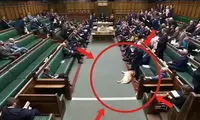 سگ خواب‌آلود در پارلمان بریتانیا خبرساز شد