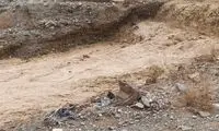 سیل‌بند یزد شکست