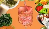 غذا از بلع تا دفع در بدن چه می‌کند؟!