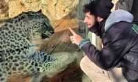 پلنگ ایرانی، یک اسرائیلی را کُشت