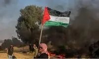 ویدئویی که ثابت می‌کند طرفداران فلسطین بیشتر است یا اسرائیل!