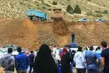 خبر بازداشت فعالان محیط زیست تکذیب شد