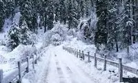 بارش برف پاییزی، مردم را در این جاده گرفتار کرد 