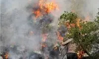 جزئیات آتش‌سوزی وحشتناک جنگل‌های مریوان 