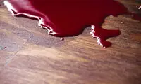 قتل هولناک دختر ۲۱ساله در خانه مجردی‌اش