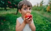 ۶ خوراکی خانگی برای متمرکز شدن کودکان مدرسه‌ای