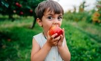 ۶ خوراکی خانگی برای متمرکز شدن کودکان مدرسه‌ای