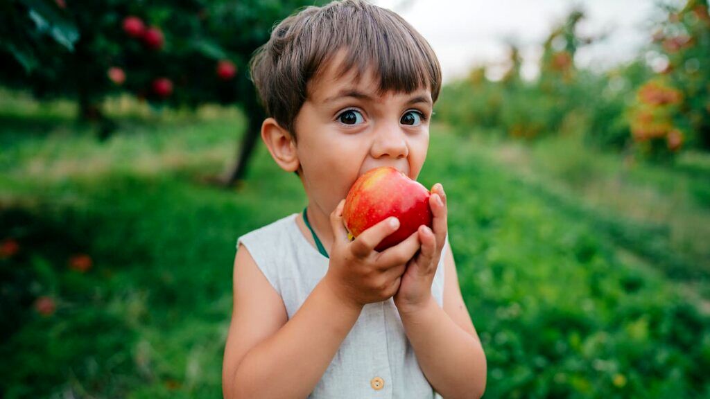 ۶ خوراکی خانگی برای متمرکز شدن کودکان مدرسه‌ای