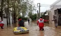 حرکت جالب و خنده‌دار یک هموطن در سیل 
